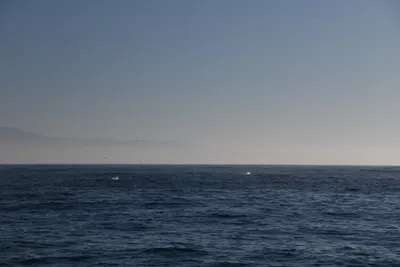 DSC_6611 (Large).JPG